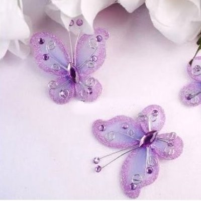 accessoire mariage papillon